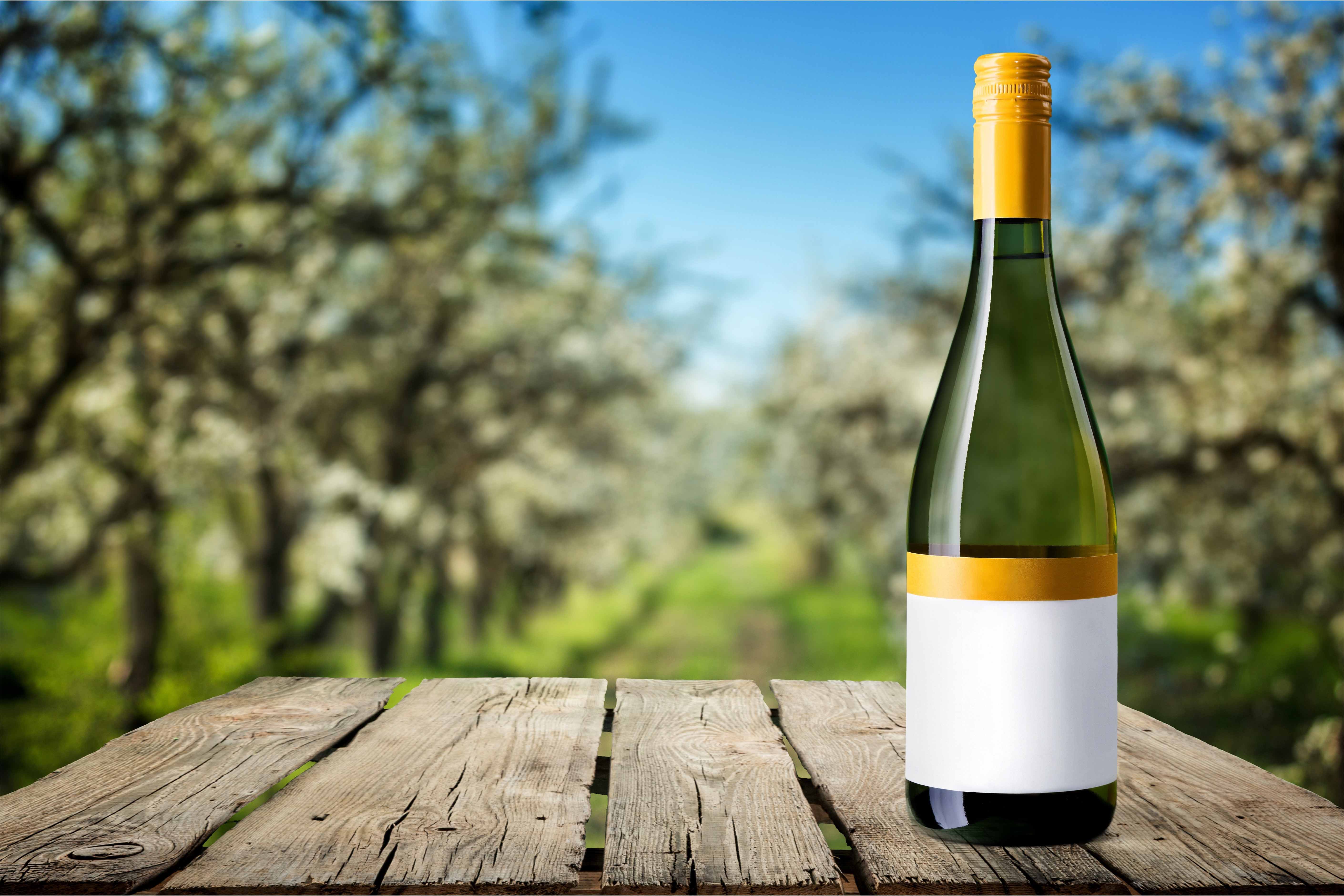 how to backup my pictures