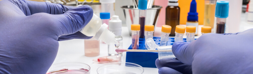 Understanding The Clinical Development Of Drugs In Data Governance