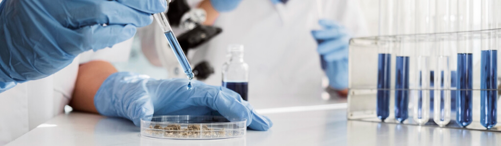 Understanding Key Opinion Leaders KOLs In Data Governance