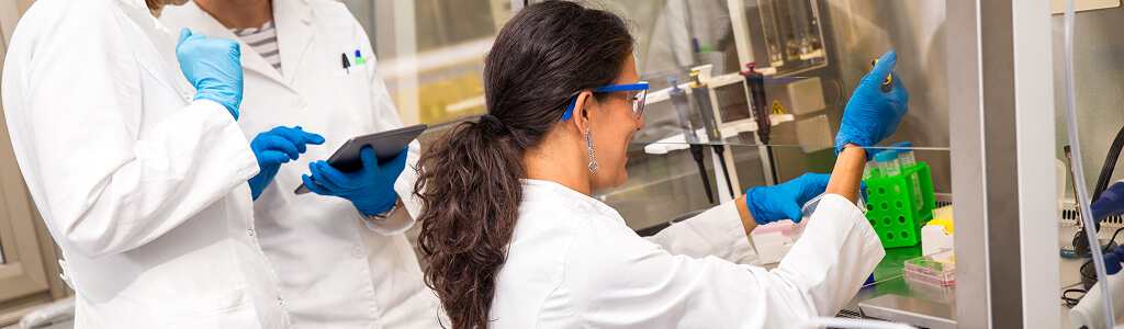 Understanding Hematopoietic Tumors In Data Workflows