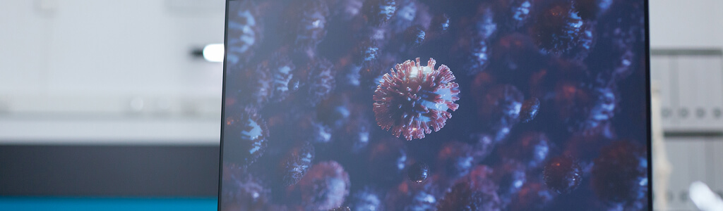 Understanding The Difference Between Polyclonal Antibody And Monoclonal Antibody