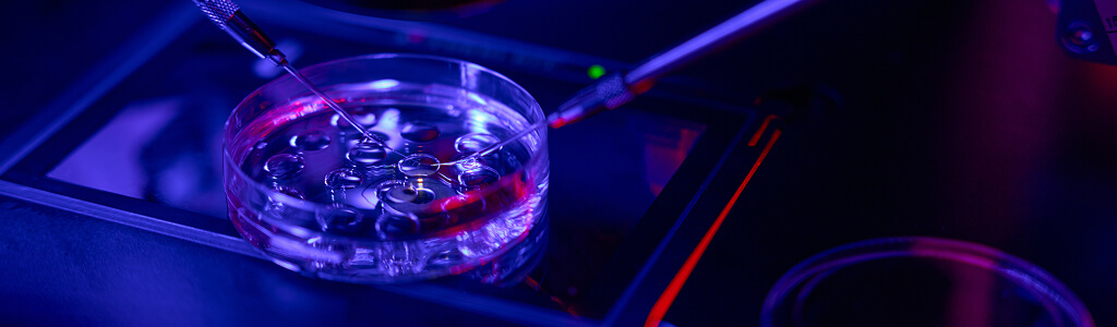 Comprehensive Market Access Solutions For Data Governance