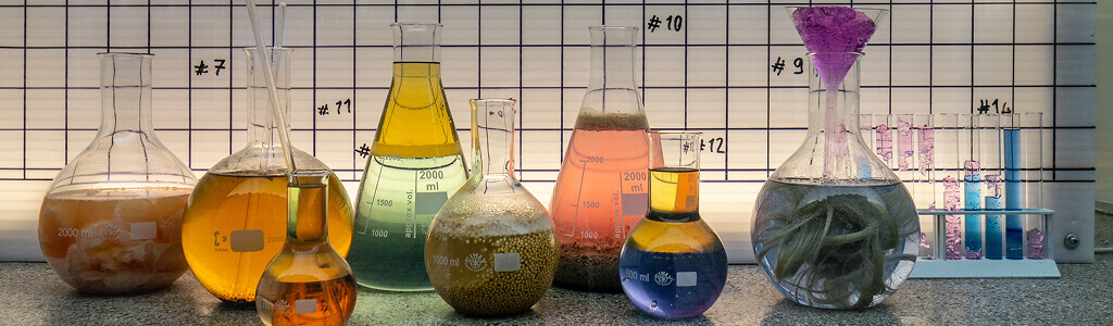 Understanding Infectious Diseases And Vaccines Cro Services