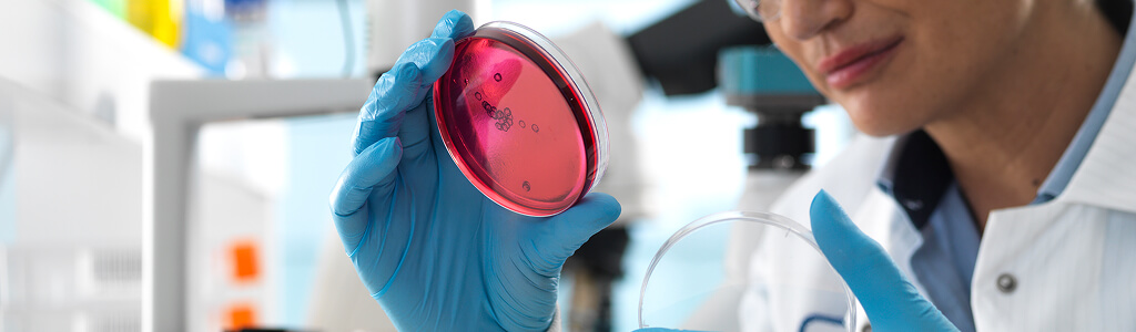 Understanding Phase1 In Data Governance Workflows