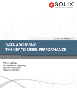 Database Archiving The Key to Siebel Performance