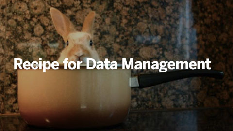 Recipe for Data Management