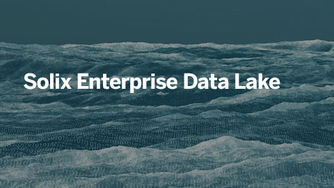 Solix Enterprise Data Lake