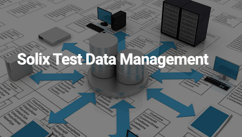 Solix Test Data Management