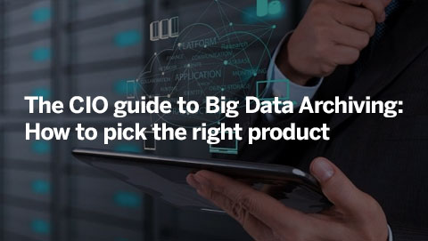 The CIO guide to Big Data Archiving: How to pick the right product